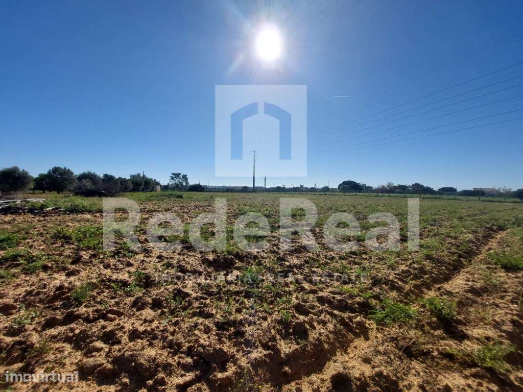 Moradia T5 isolada nos arredores de Olhão-45