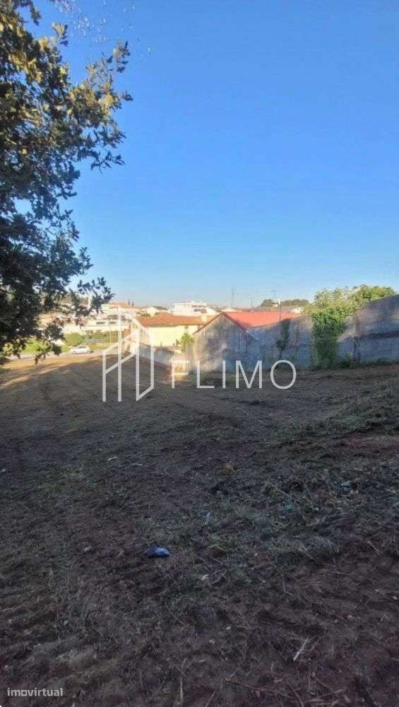 Terreno Urbano Sanguedo-5