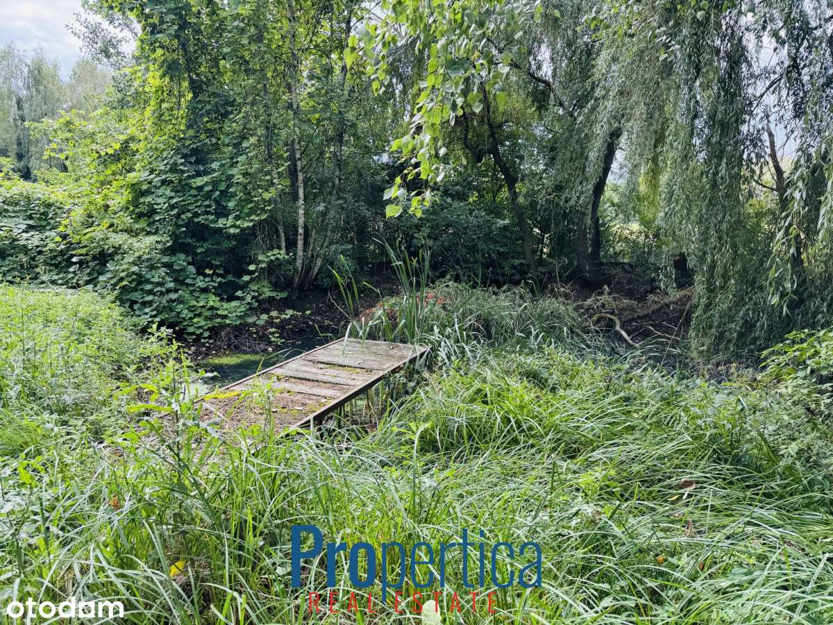 Dom + 2 Budynki Gospodarcze Duża Działka Staw - Pełny obrazek: 5/15