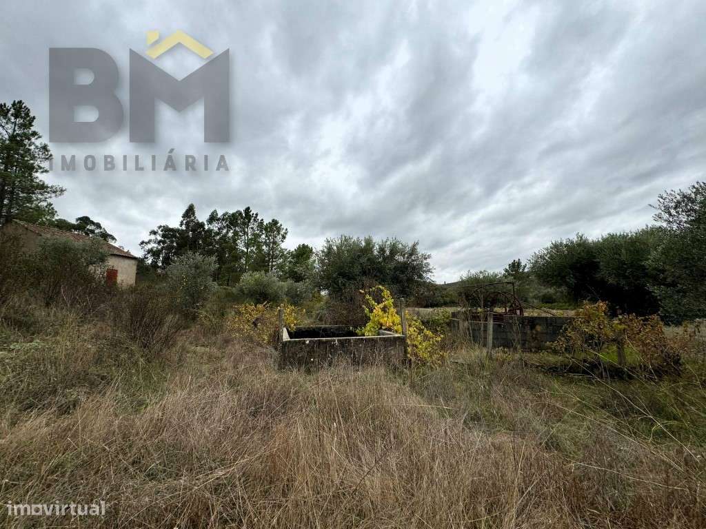 Quinta com 45.360m2 para venda em Freixial do Campo! - Grande imagem: 3/21