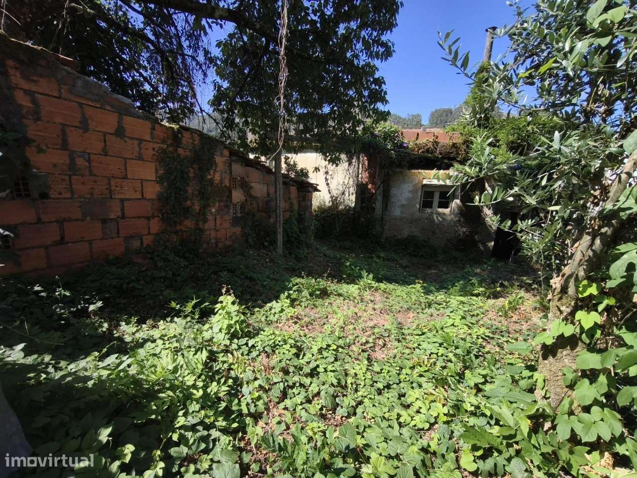 Moradia para recuperar em Casal de Santo Amaro - Penacova-8