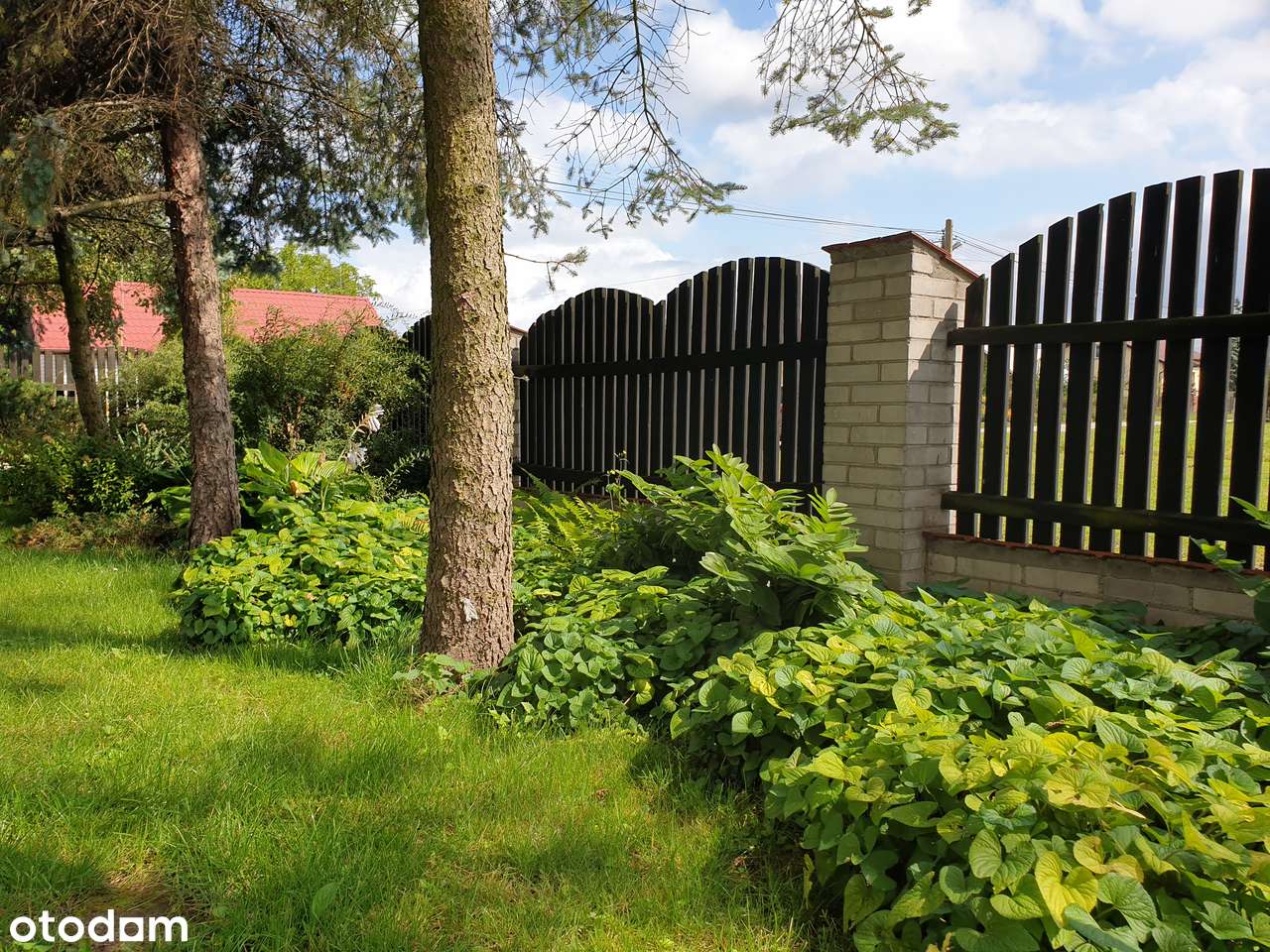 Wygodny dom z dużym terenem w Kampinosie-18