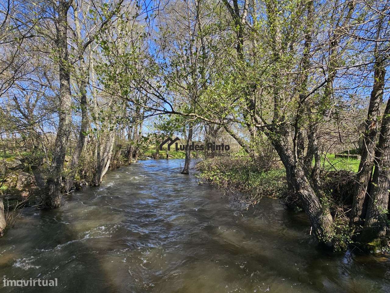 Quinta com casa á beira do Rio - Grande imagem: 4/19