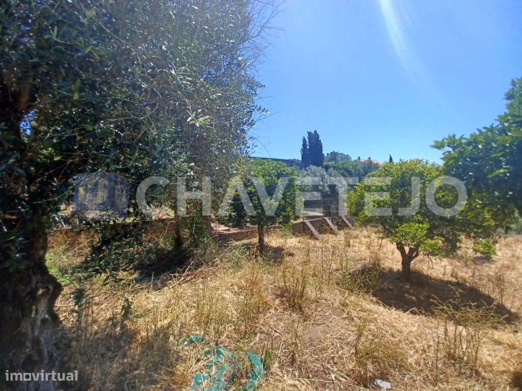 Terreno com 800 m2 perto da albufeira do Castelo do Bode. - Grande imagem: 4/7