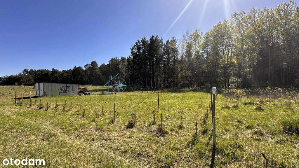 ** Działka budowlana ** Nowodworce** - Pełny obrazek: 5/8