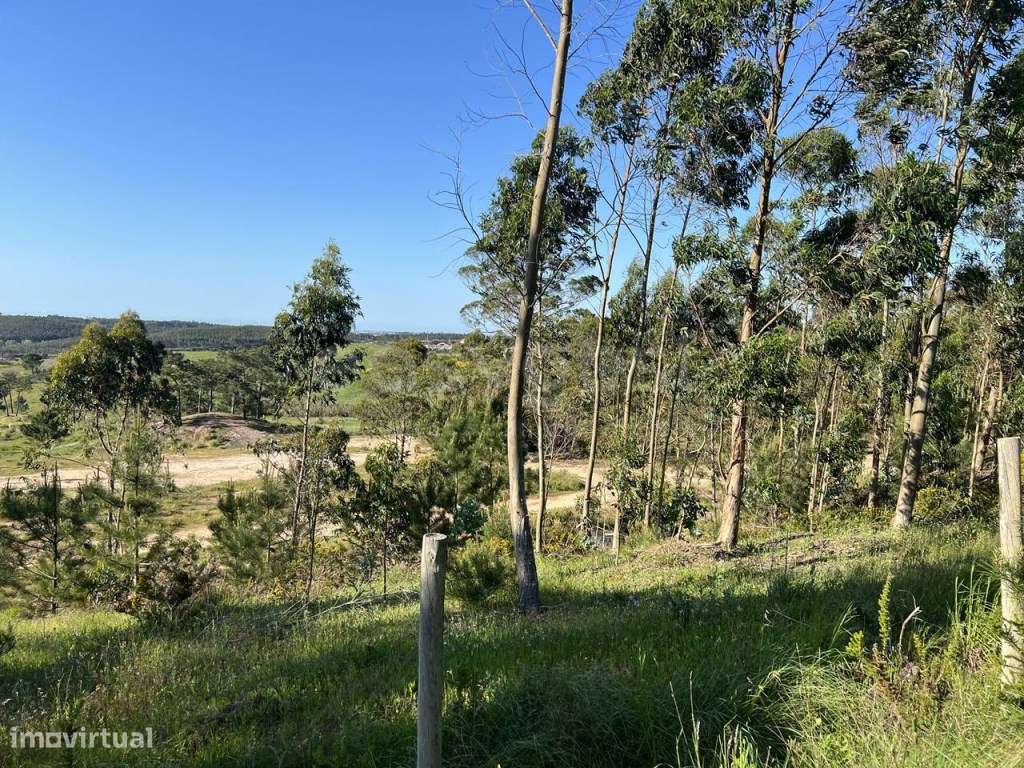 Terreno com loteamento, com 214760m2, perto da entrada da A8, em To... - Grande imagem: 5/24