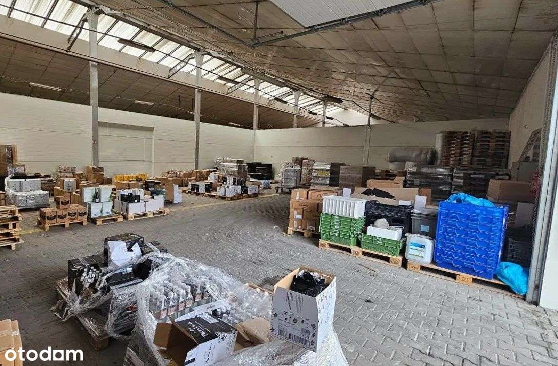Hala/Magazyn, 483 m², Grodzisk Mazowiecki - Pełny obrazek: 4/8