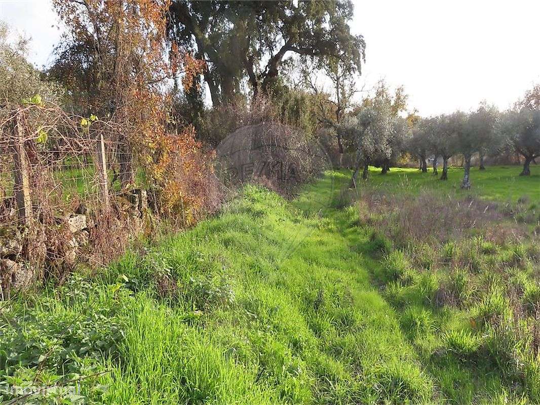 Quinta  para venda - Grande imagem: 5/41