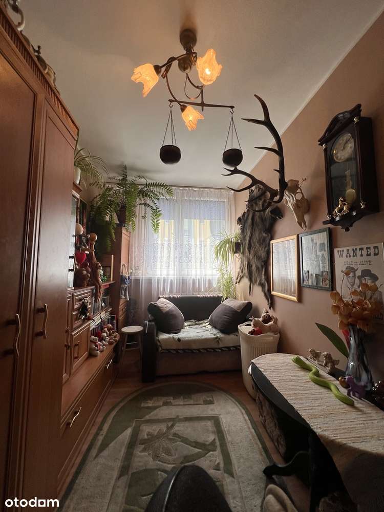 Przytulne 3 pokoje w samym sercu Świdnicy - Pełny obrazek: 3/7