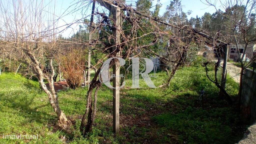 Moradia em pedra em Figueiró dos Vinhos com terreno e poço de água-19