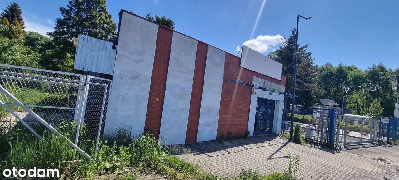 Lokal na wynajem, idealny na działalność - Pełny obrazek: 2/3