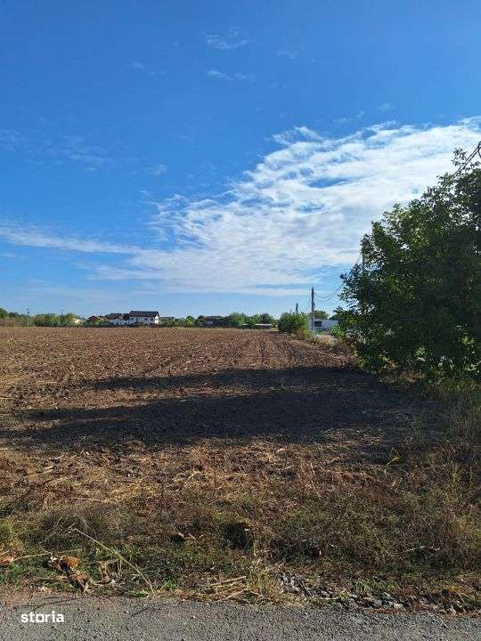 Snagov- Ciofliceni, loturi de casa intre 504-670mp, Șerban Cantacuzin-9