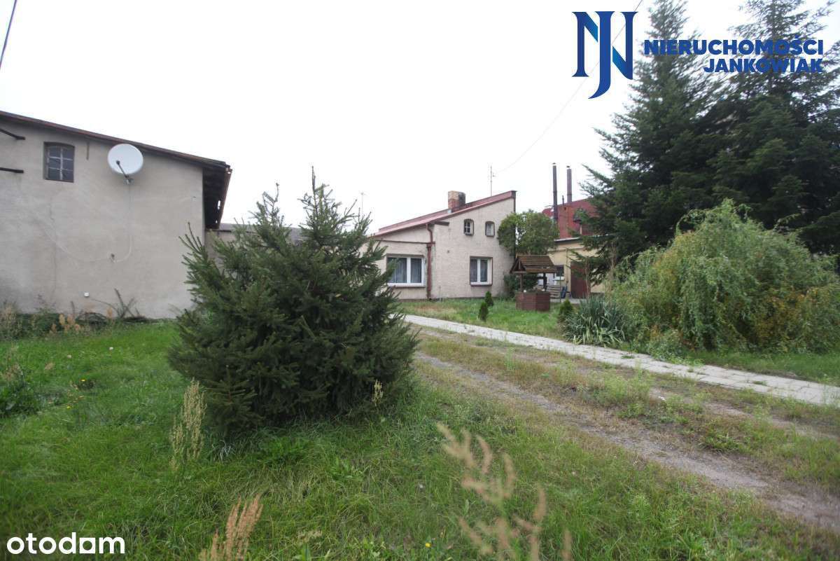 Dom z zabudowaniami w centrum wsi Jabłonna - Pełny obrazek: 5/20