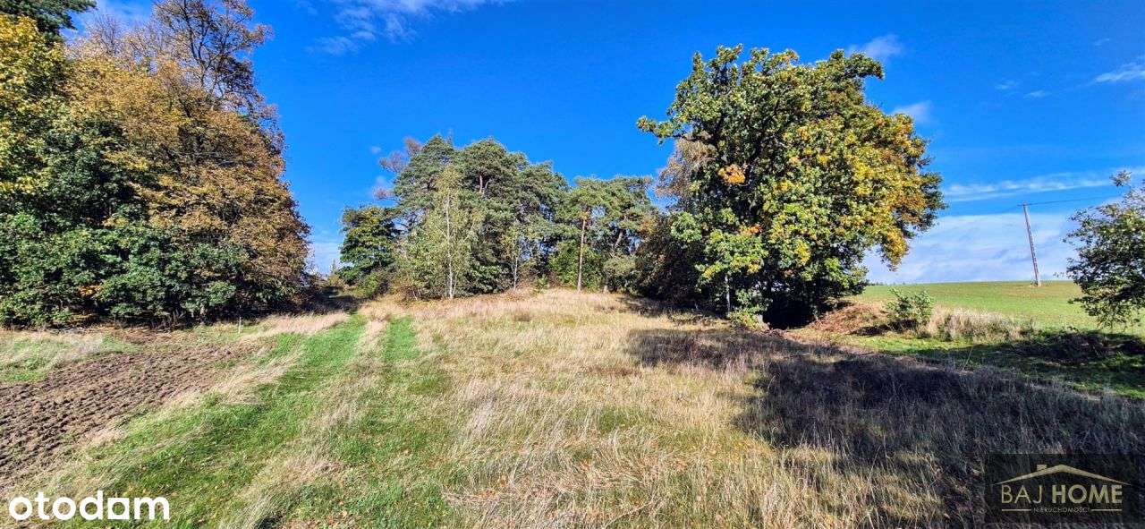Bochlin działka na sprzedaż - Pełny obrazek: 4/8