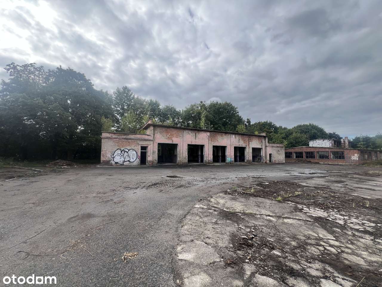 Wynajmę pomieszczenia magazynowo-biurowe / - Pełny obrazek: 4/4