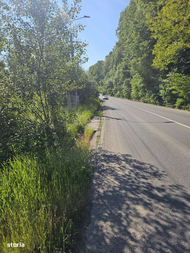 SC vinde teren destinatie industriala - Imagine principală: 3/4