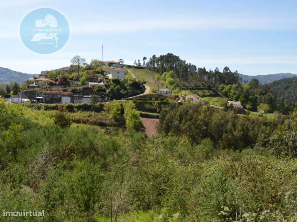 Terreno à venda- Cruz do Muro, Cabeceiras de Basto-17