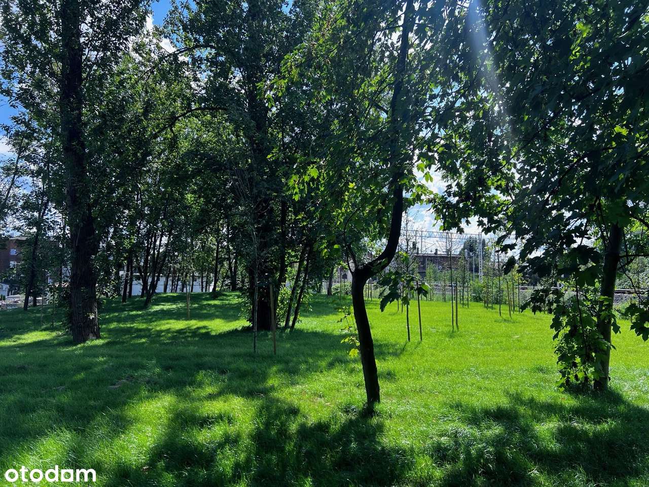 Twój miejski azyl 3 min od Katowic - 36 m czystej wygody-4