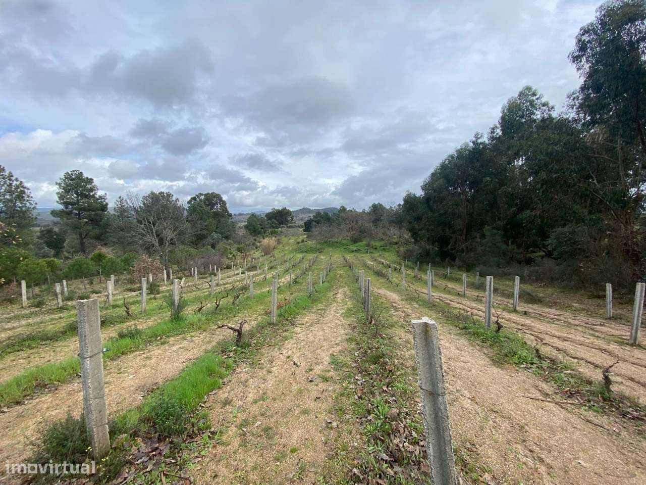 Quintinha - Grande imagem: 2/21