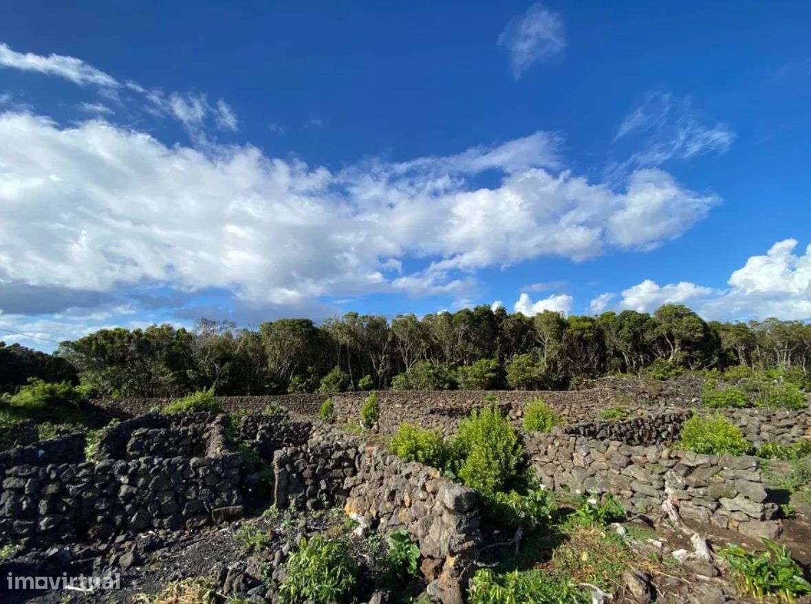 Terreno Rústico no Pico - Grande imagem: 4/4