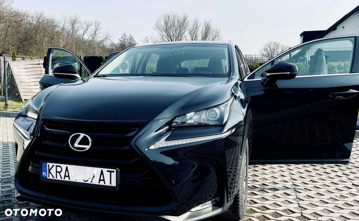 Lexus NX - 6