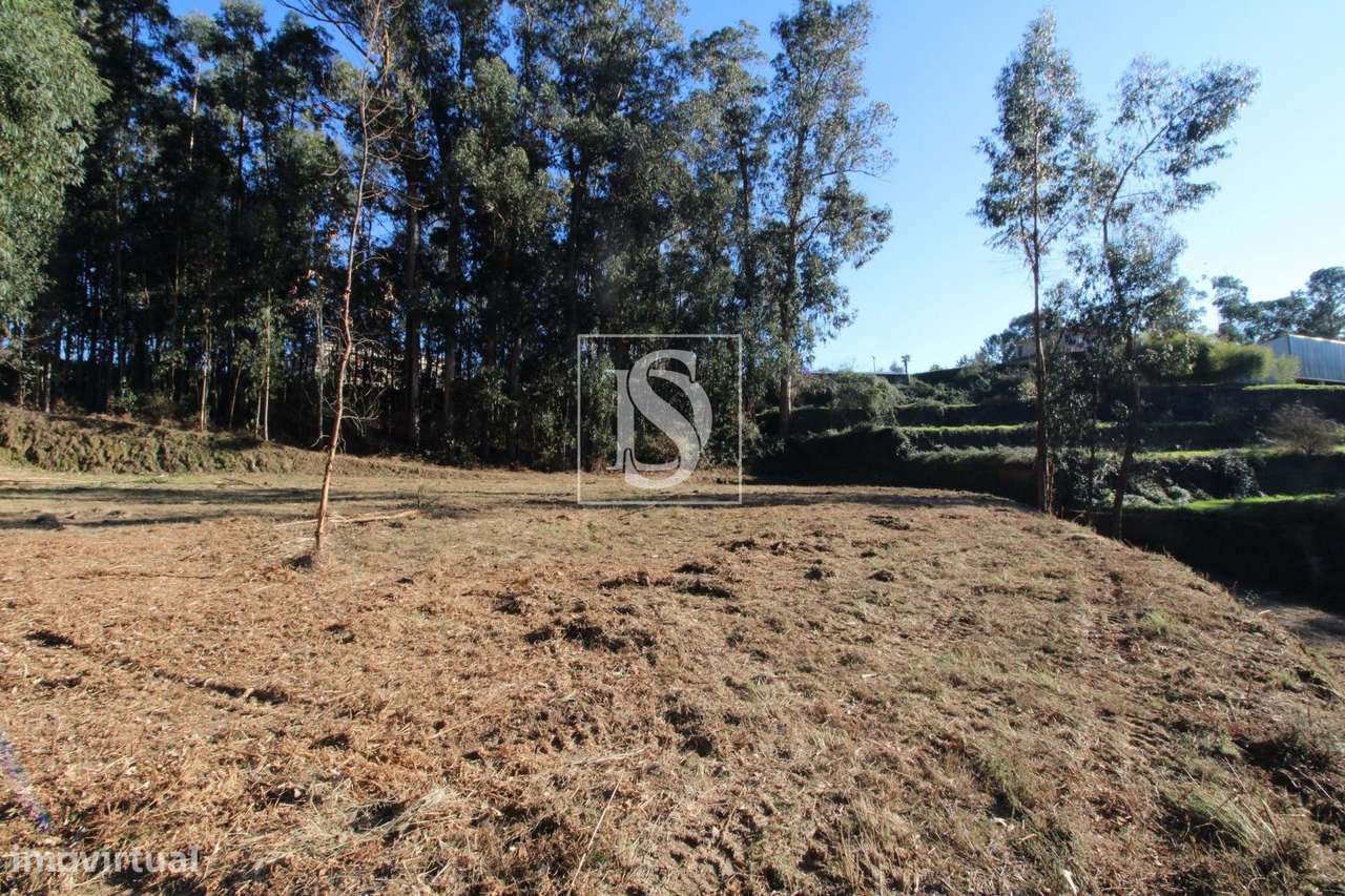 Terreno Exclusivo em Telões, Amarante - Grande imagem: 4/19