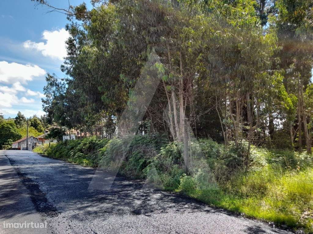 Terreno destinado a construção até 18 moradias na Patela, S.Bernardo - Grande imagem: 5/9