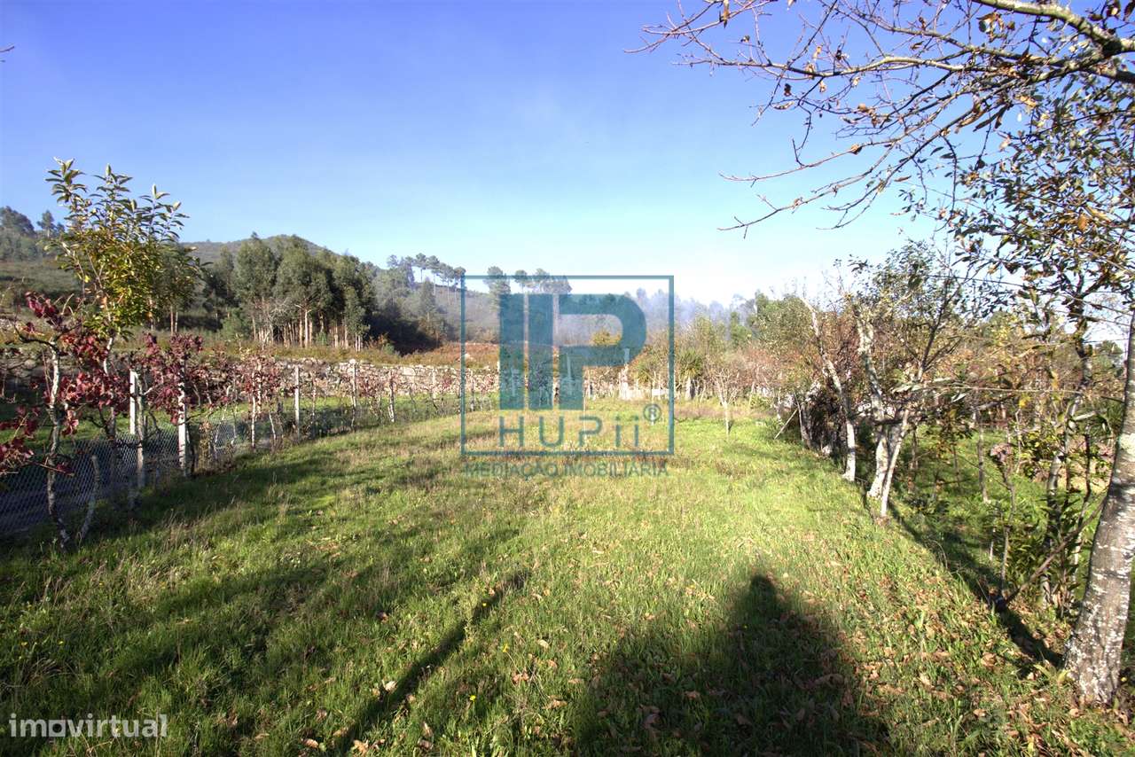 Quinta T3+1 Venda em Penhalonga e Paços de Gaiolo,Marco de Canaveses-19