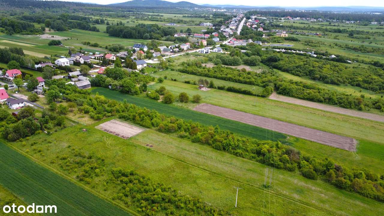 Działka 16 871 m2 Posłowice - Pełny obrazek: 3/5