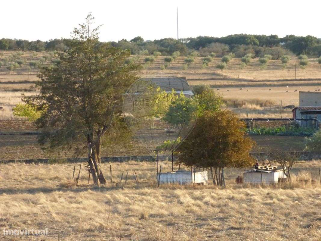 Terreno  para venda - Grande imagem: 5/7