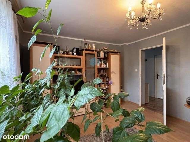 Sprzedam 1/2 bliźniaka Trzemeszno ul. Żeromskiego-11