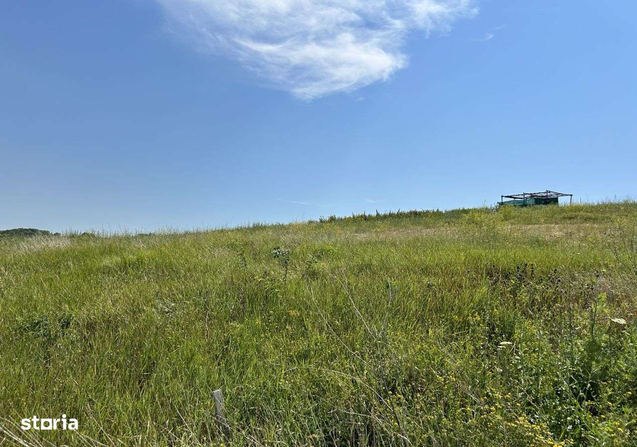 URGENT 10.500 euro TEREN 500 mp intravilan TOMESTI-CHIPIRESTI - Imagine principală: 5/9