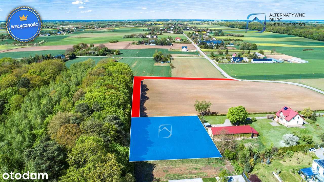 Działka budowlana pod lasem w Smugach - Pełny obrazek: 4/14