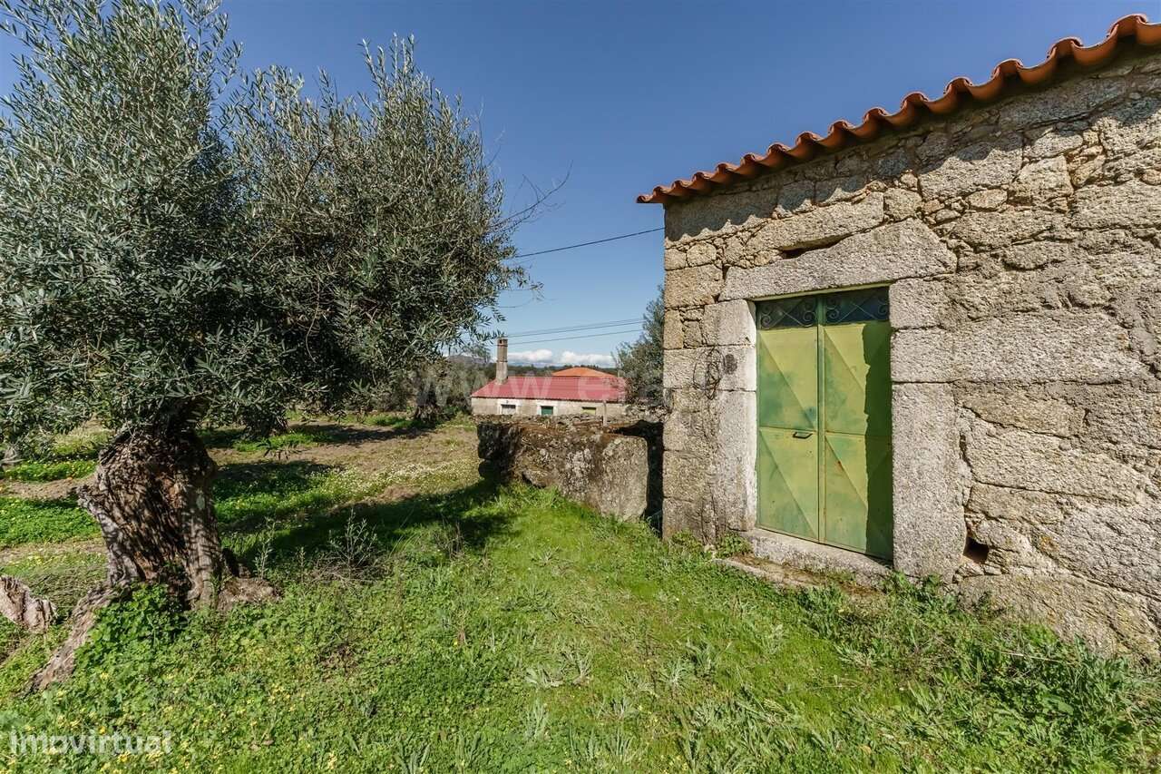 Terreno / Fundão, Martianas - Grande imagem: 5/20