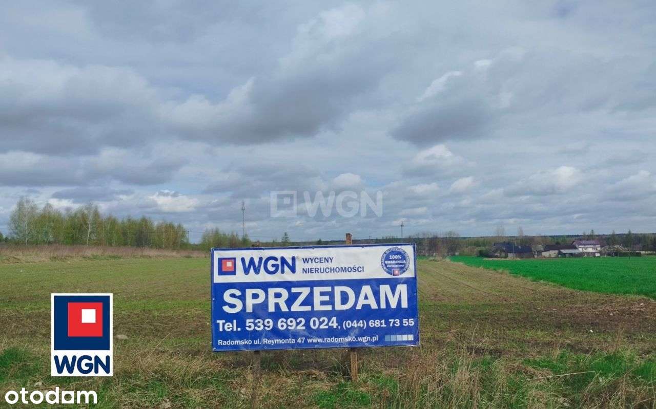Działka, 2 993 m², Kodrąb - Pełny obrazek: 5/13