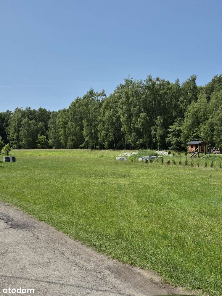 Działka, 5 054 m², Książenice-1