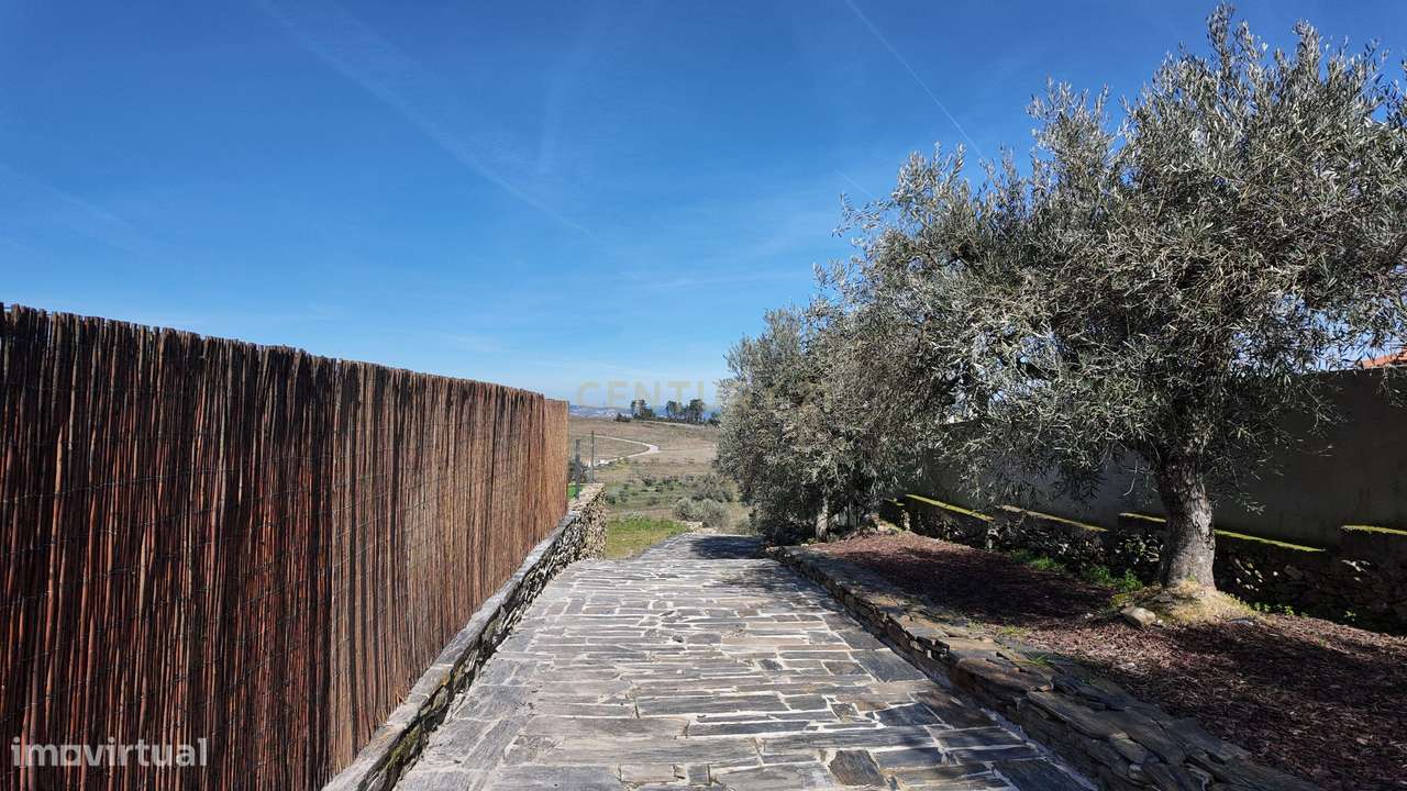 Quinta no Alto Douro Vinhateiro com Projeto Turístico Aprovado-29