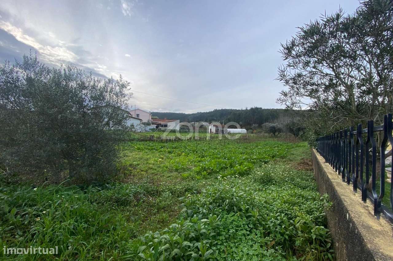 Terreno Urbanizável em Vale de Avim - Moita (Anadia) - Grande imagem: 5/15