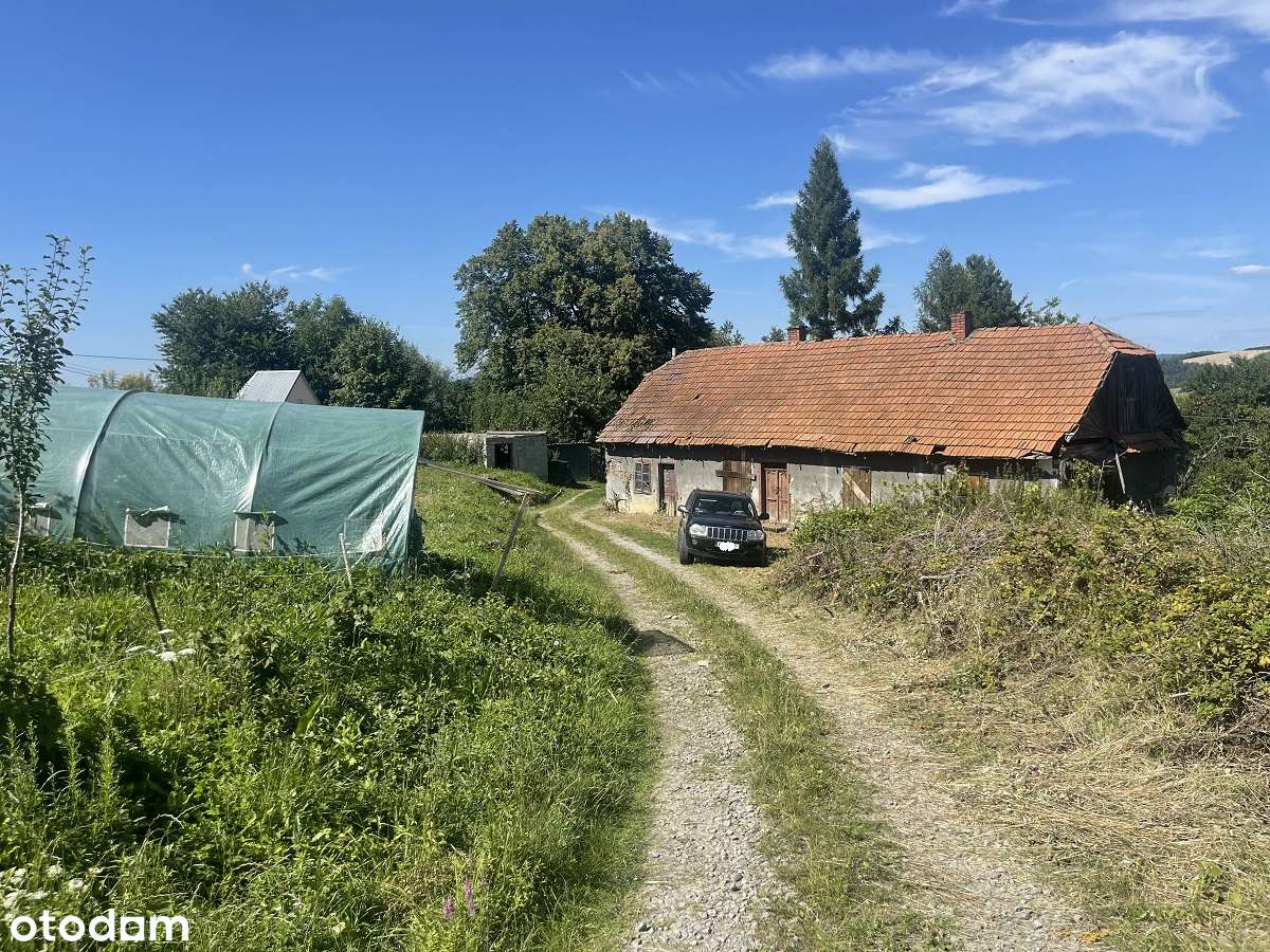 Działka budowlana 56ar+1h las+stary dom - Pełny obrazek: 3/15