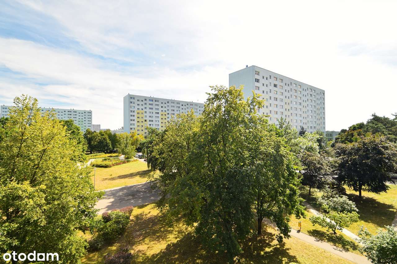 3 pokoje z wyjątkowym układem | Świetna lokalizacja | Centrum | Zieleń-18