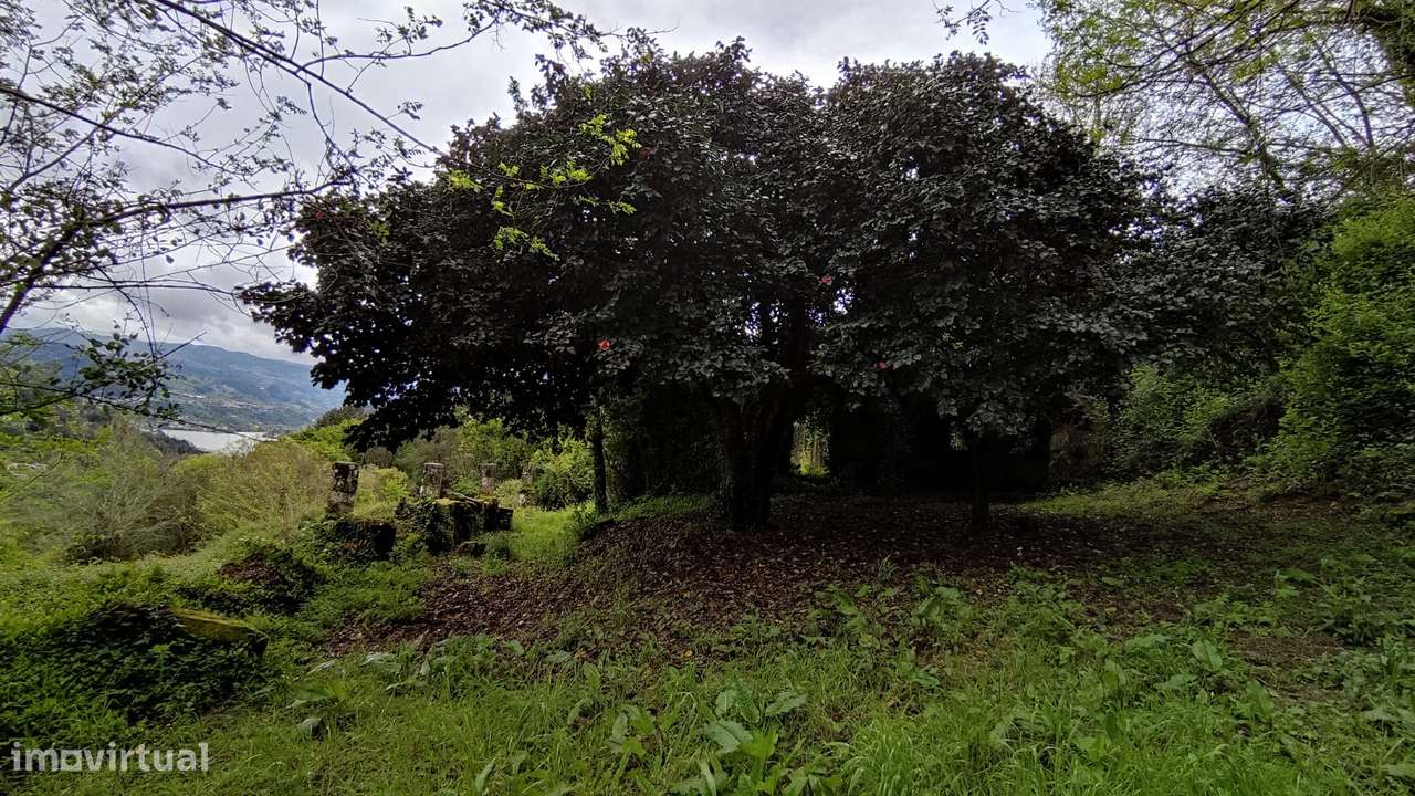 Quinta  Venda em Penhalonga e Paços de Gaiolo,Marco de Canaveses-6