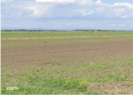 Teren extravilan Cocorastii Colt ; ID: R2710069 - Imagine principală: 5/10