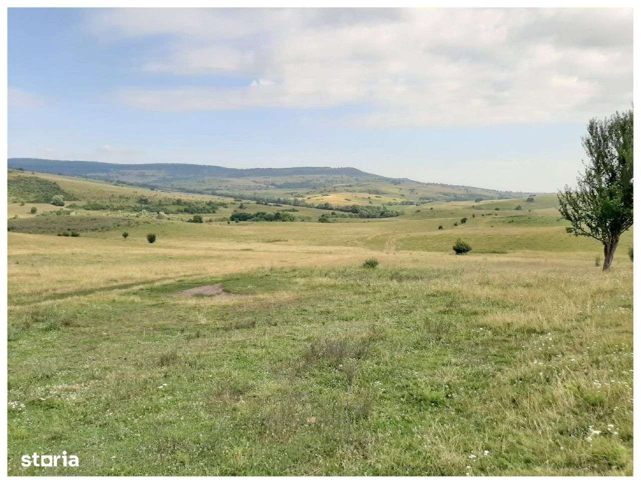 Teren Sercaia  250 ha - Imagine principală: 4/12