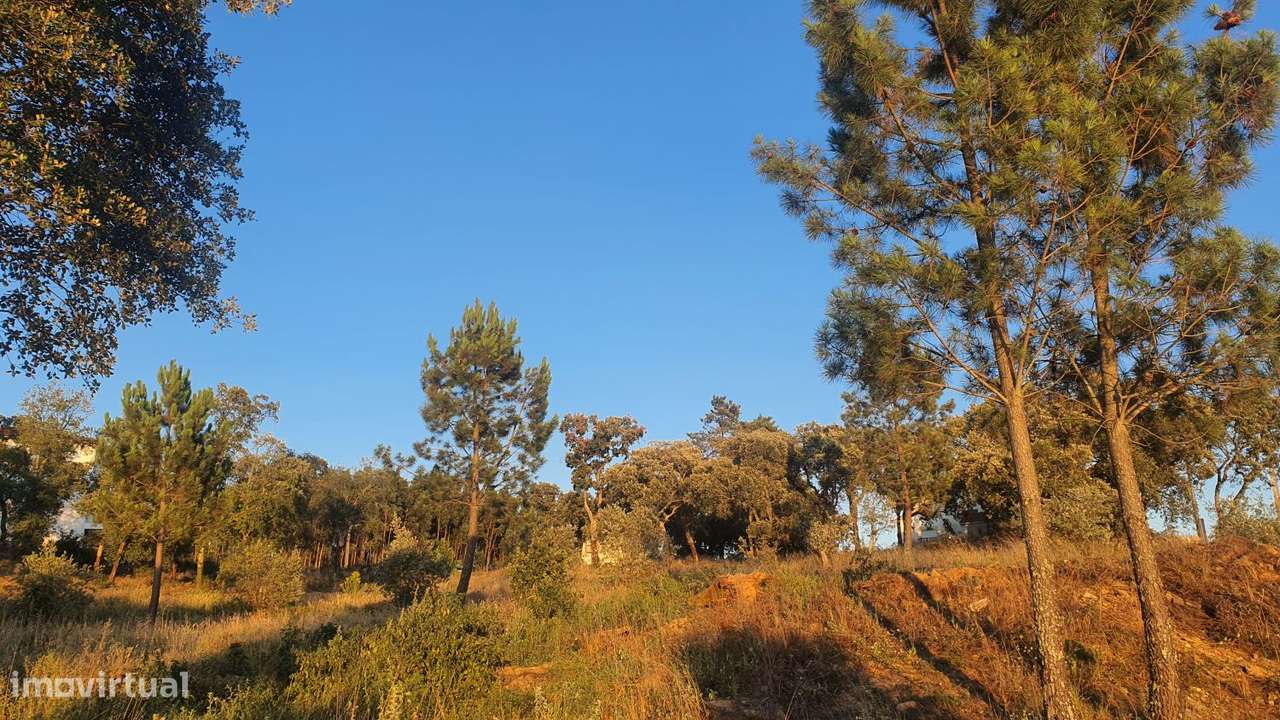 Terreno para Moradia com vista para a Serra D'Aire e Candeeiros-28
