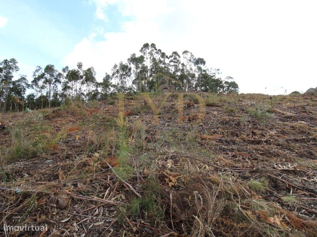 Terreno Construção-6