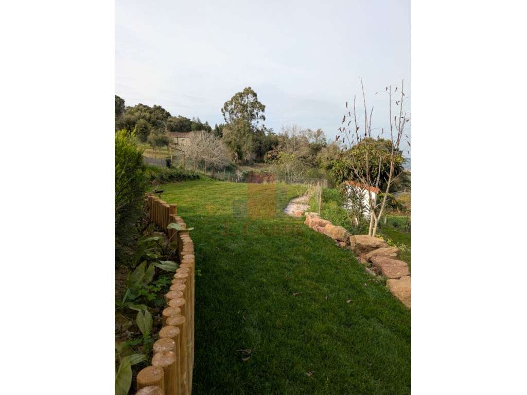 Casa Botânica - Grande imagem: 5/60