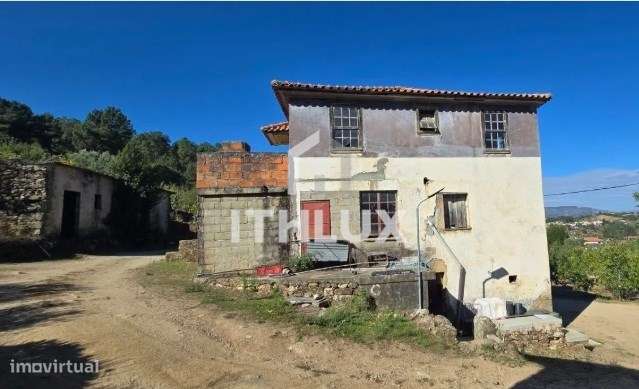 Quinta com 7 ha em Gouviães – Tarouca (Viseu) - Grande imagem: 3/20