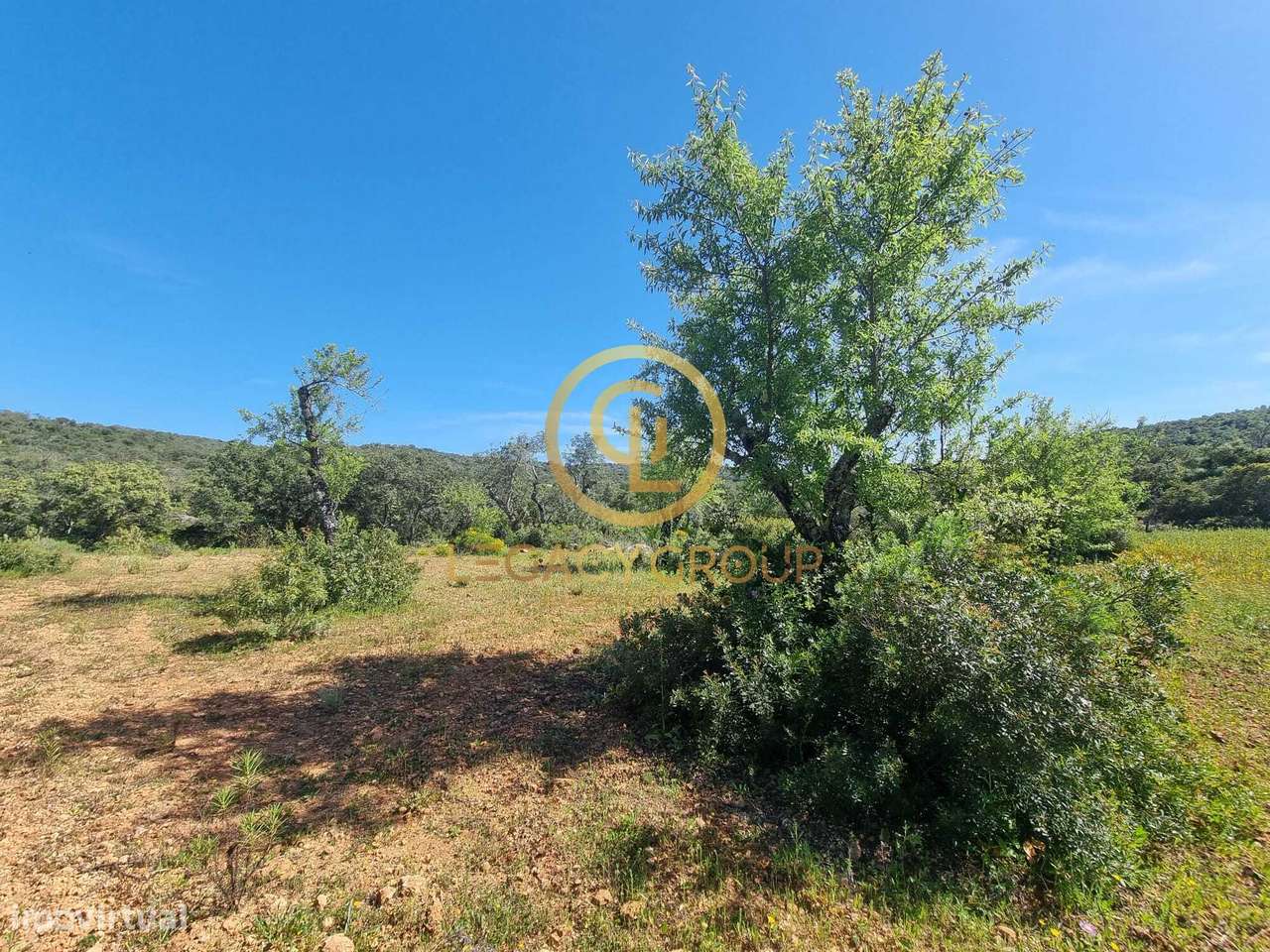 Terreno Rústico Plana em Espargosa, Boliqueime - Grande imagem: 2/14