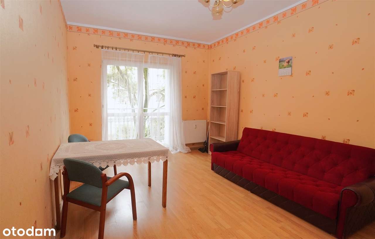 Duża kawalerka na Grunwaldzie - Pełny obrazek: 3/13