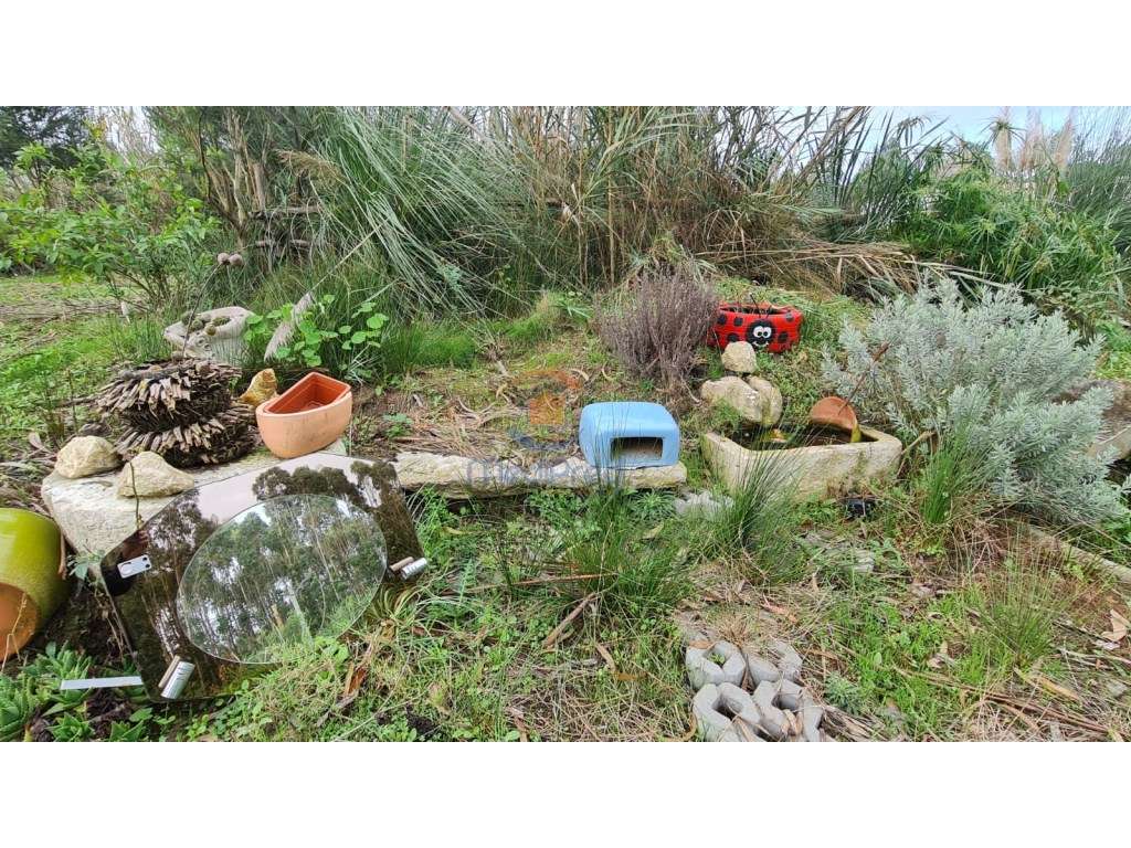 Terreno agrícola 2.000 m2 | A dos Cunhados, Torres Vedras - Grande imagem: 2/7